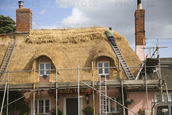 A thatcher completing the re-thatching of a traditional country pub, the Sorrel Horse, Shottisham, Suffolk, England, United Kingdom, Europe