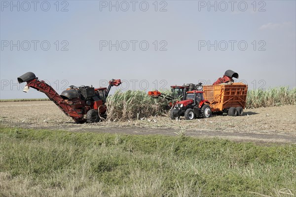 Sugar cane harvest with tractor and machine, near Santiago de Cuba, Cuba, Central America