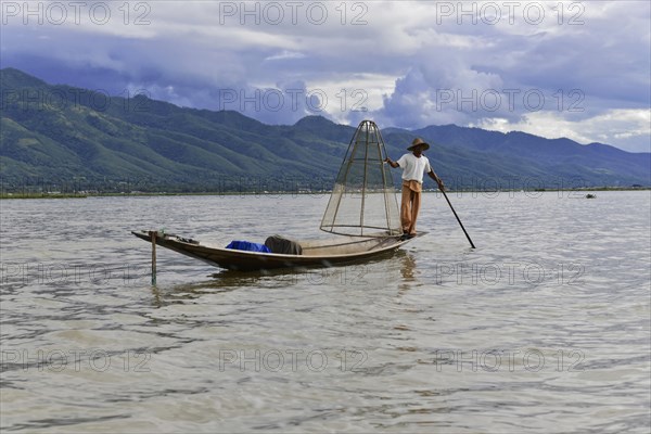 Intha fisherman, local man fishing with traditional conical fishing net, Inle Lake, Burma, Myanmar, Asia