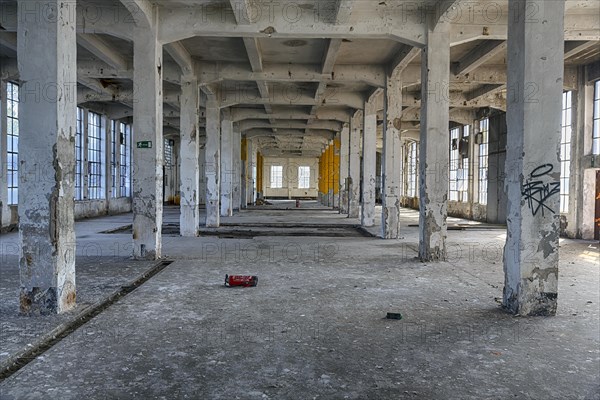 Empty dilapidated factory building, pillars, peeling paint, light entering through broken window panes, industrial ruin, interior shot, lost place, Germany, Europe