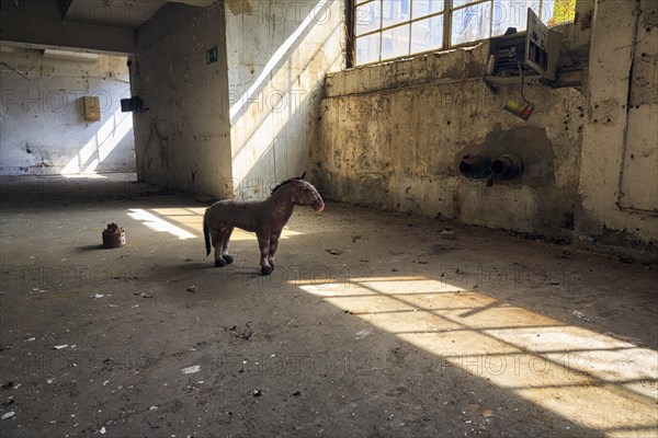 Single plush toy in an empty dilapidated factory building, peeling paint, light falling through window panes, industrial ruin, interior shot, lost place, Germany, Europe