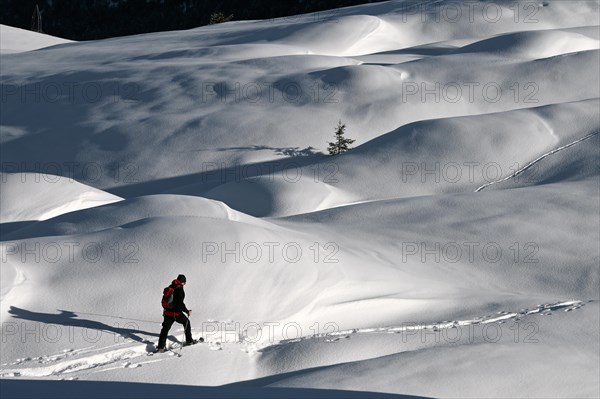 Snowshoe hiking in the Beverin nature park Park, Graubuenden, Switzerland, Europe