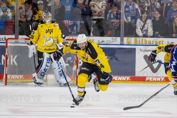 23.02.2024, DEL, German Ice Hockey League, 48th matchday) : Adler Mannheim (yellow jerseys) against Nuremberg Ice Tigers (blue jerseys) . Tom Kuehnhackl (34, Adler Mannheim) moves purposefully towards the goal of the Nuremberg Ice Tigers