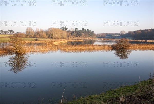 Coastal flooding leading to inundation of land not covered by flood water for 50 years, Ramsholt, Suffolk, England, December 2013