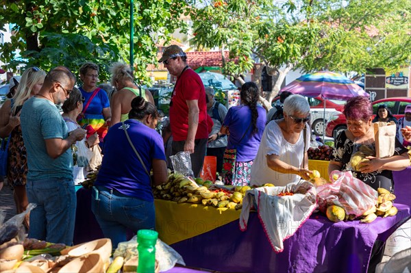 People at the busy market Mercado Organico in Santa Cruz, Pochutla, Baja de Huatulco, South Pacific Coast, State of Oaxaca, Mexico, Central America