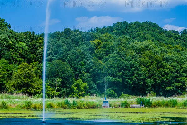 A serene pond with a powerful geyser surrounded by lush greenery under a clear blue sky, in South Korea