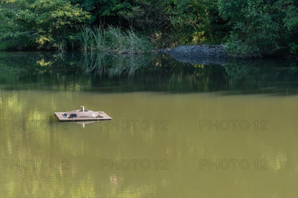 Inactive fountain in middle of small pond in morning sunshine in Daejeon South Korea