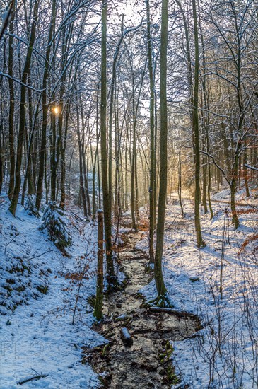 A snow-covered stream flooded with gentle rays of sunshine, Gelpe, Elberfeld, Wuppertal North Rhine-Westphalia