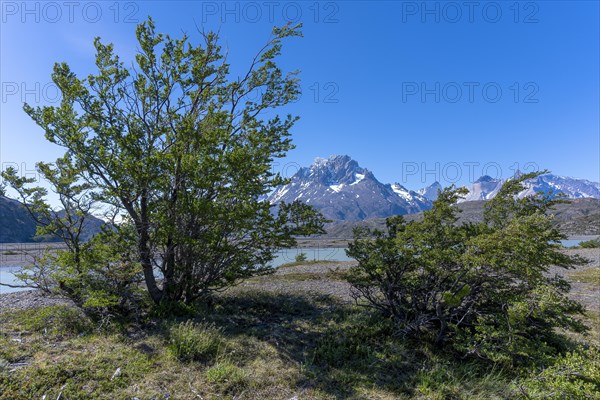 Lago Grey, Torres del Paine National Park, Parque Nacional Torres del Paine, Cordillera del Paine, Towers of the Blue Sky, Region de Magallanes y de la Antartica Chilena, Ultima Esperanza Province, UNESCO Biosphere Reserve, Patagonia, End of the World, Chile, South America