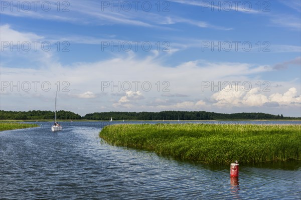 Natural landscape, sailboat, nature, puristic, reed, seaweed, water, lake, natural, travel, holiday, tourism, calm, silence, lonely, empty, seafaring, summer, holiday, landscape, outdoor, active holiday, type of travel, rural, emotion, green, clean, clear, climate, close to nature, beautiful, horizon, meditative, coast, coastal landscape, environment, quiet, Masuria, Poland, Europe