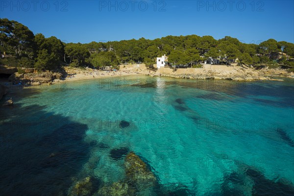 Cala Gat, Cala Rajada, Majorca, Majorca, Balearic Islands, Spain, Europe