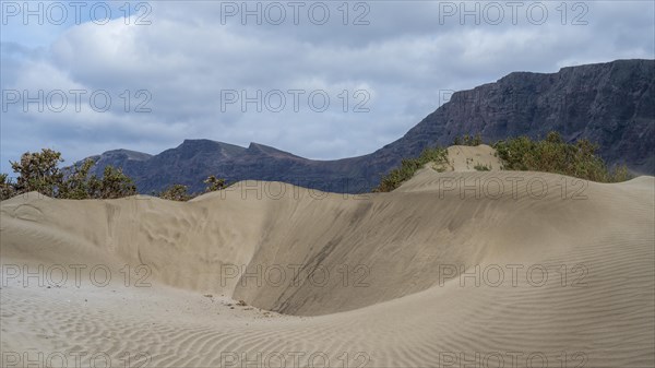 Dune landscape, dunes, Playa de Famara, Lanzarote, Canary Islands, Spain, Europe