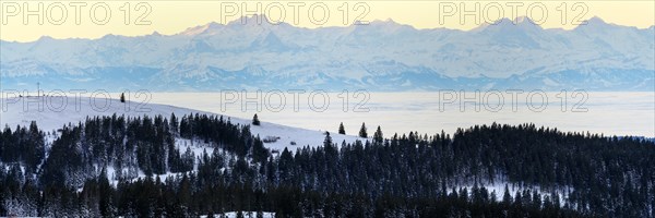 View from the Feldberg over the Herzogenhorn to the Swiss Alps, sunrise, Breisgau-Hochschwarzwald district, Baden-Wuerttemberg, Germany, Europe