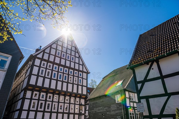 Sun-kissed half-timbered house with blossoming tree branches in the foreground, old town centre, Hattingen, Ennepe-Ruhr district, Ruhr area, North Rhine-Westphalia