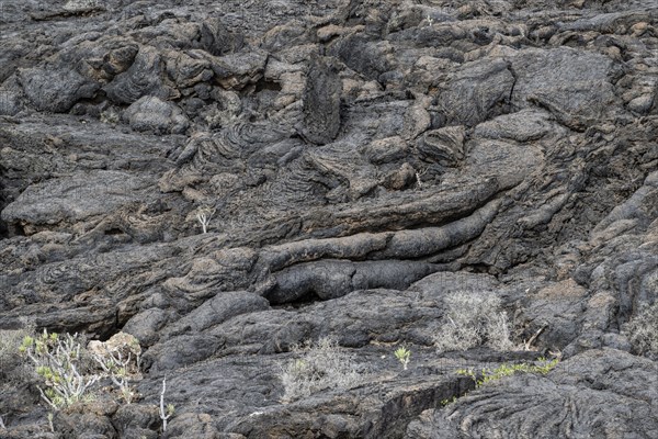 Lava structures, Costa Teguise, Lanzarote, Canary Islands, Spain, Europe