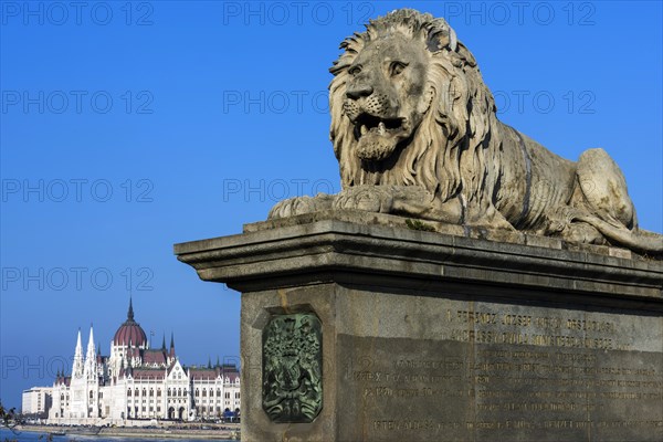 Lion of the Chain Bridge with the Parliament, travel, city trip, tourism, Eastern Europe, architecture, building, monument, history, historical, attraction, sightseeing, sculpture, capital, Budapest, Hungary, Europe