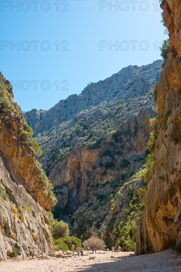 Torrent de Pareis, hikers walk through a sun-drenched gorge of a dried-up riverbed in the mountains with boulders and pebbles between high, steep rock faces, Mediterranean vegetation, trees and bushes on rocky outcrops and in the stream bed, sunny day with blue, cloudless sky, mountains, Serra de Tramuntana, Majorca, Spain, Europe
