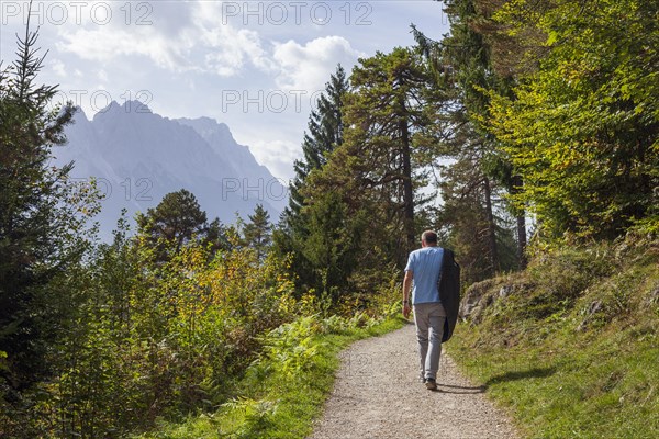 Hiker with Wetterstein mountains, Zugspitze massif and forest in autumn, hiking trail Kramerplateauweg, Garmisch-Partenkirchen, Upper Bavaria, Bavaria, Germany, Europe