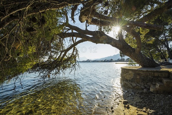 Waterfront promenade, Port de Pollenca, Serra de Tramuntana, Majorca, Balearic Islands, Spain, Europe