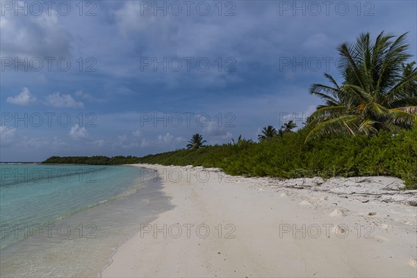 White sand beach, Parli 1 island, Lakshadweep archipelago, Union territory of India