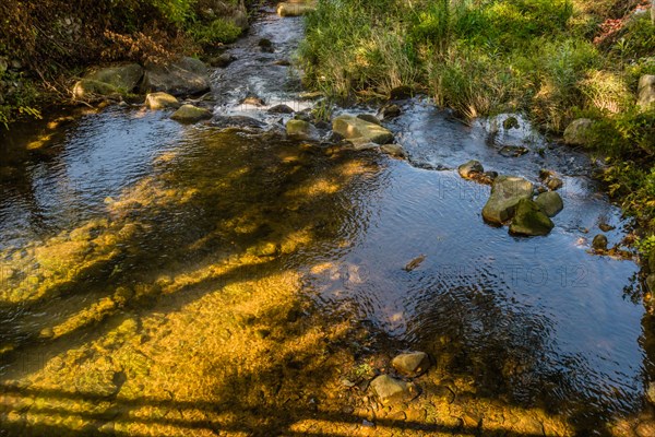 Creek with clear water and pebbles reflecting the golden sunlight, in South Korea