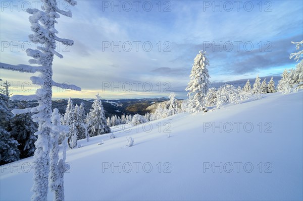 Winter on the Feldberg, Breisgau-Hochschwarzwald district, Baden-Wuerttemberg, Germany, Europe