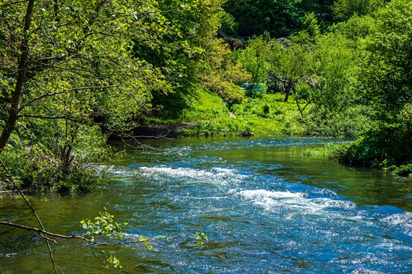 A lively river meanders through a green wooded area on a sunny day, Wupper, Beyenburg, Wuppertal, Bergisches Land, North Rhine-Westphalia