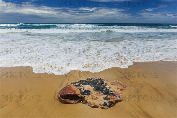 Textured stone on the beach, sea, Atlantic coast, coast, surf, surf, emotion, calmness, nobody, empty, travel, tourism, holiday, beach holiday, water, seawater, salt water, Atlantic, ocean, force of nature, puristic, symbol, wanderlust, waves, holiday feeling, relaxation, calmness, recreation, quiet, weather, climate, esoteric, esoteric, bathing, bathing holiday, coastal landscape, Algarve, Portugal, Europe