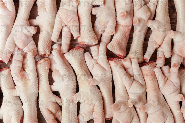 Top view, photographic background with clean chicken feet