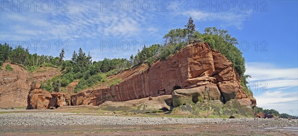 Wooded cliffs, red sandstone, Five Islands Provincial Park, Fundy Bay, Nova Scotia, Canada, North America