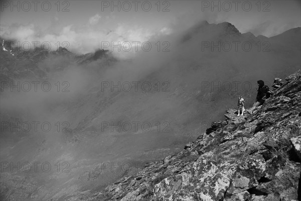 A lone dog on a rocky mountain ledge in black and white under foggy conditions, Amazing Dogs in the Nature