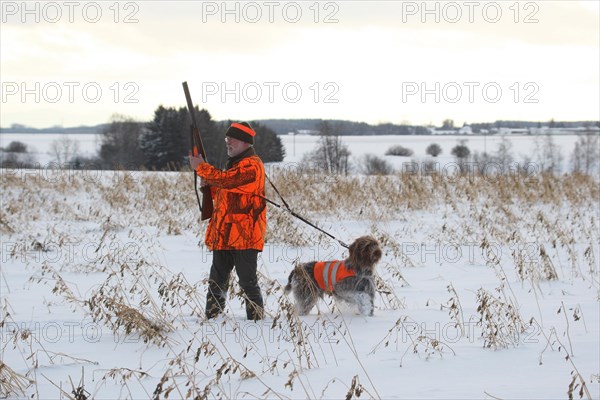 Hunter with hunting dog Griffon on a snow-covered field on the occasion of a hare hunt, Allgaeu, Bavaria, Germany, Europe