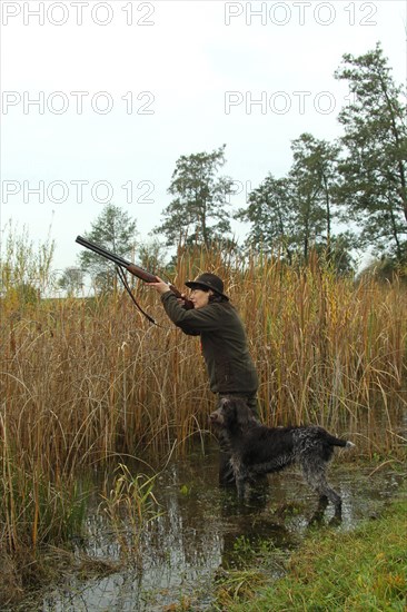 Female hunter aiming at flying mallard (Anas platyrhynchos) on the bank of a body of water during a waterfowl hunt for ducks, Allgaeu, Bavaria, Germany, Europe
