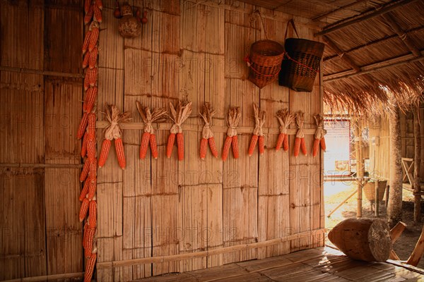 Yellow corns hung to dry in a traditional indigenous house from the Lu Tribe in Chiang mai Thailand