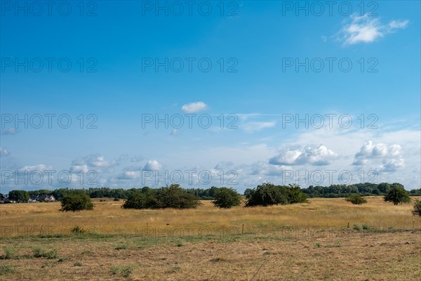 A peaceful landscape with a wide field under a blue sky with clouds