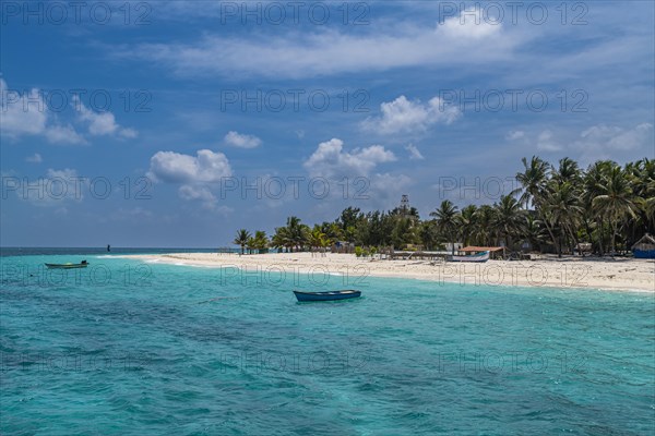 Palm fringed white sand beach, Agatti Island, Lakshadweep archipelago, Union territory of India