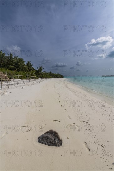 White sand beach, Parli 1 island, Lakshadweep archipelago, Union territory of India