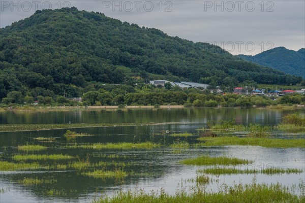 Cloudy skies casting a moody ambiance over the lake, mountain, and surrounding wetlands, in South Korea