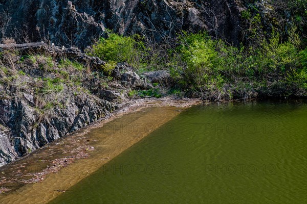 Green vegetation lines the tranquil riverbank, in South Korea