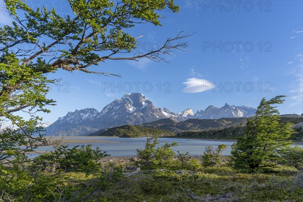 Dreamlike scenery in front of Lago Grey, Torres del Paine National Park, Parque Nacional Torres del Paine, Cordillera del Paine, Towers of the Blue Sky, Region de Magallanes y de la Antartica Chilena, Ultima Esperanza Province, UNESCO Biosphere Reserve, Patagonia, End of the World, Chile, South America