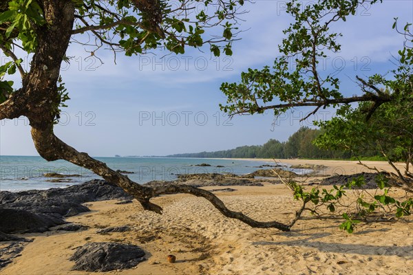 Beach landscape at Silent beach in Khao lak, beach, sandy beach, beach holiday, holiday, travel, tourism, sea, seascape, coastal landscape, landscape, rocky, stony, ocean, beach holiday, flora, tree, forest, nature, lonely, empty, nobody, dream beach, beautiful, weather, climate, sunny, sun, paradise, beach paradise, Thailand, Asia