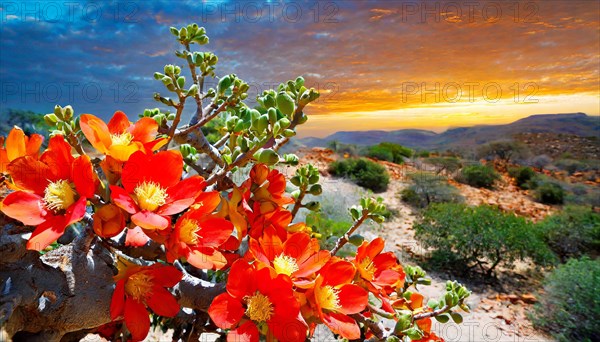 KI generated, The desert in Namaqualand blooms in August and September each year, Namibia, Africa