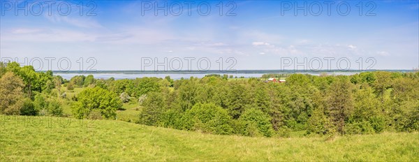 Panoramic view from a hill over a green lush deciduous forest with a lake on the horizon at a beautiful sunny summer day