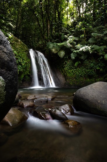 Pure nature, a waterfall with a pool in the forest. The Ecrevisses waterfalls, Cascade aux ecrevisses on Guadeloupe, in the Caribbean. French Antilles, France, Europe