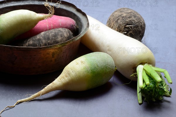 Various radishes, Raphanus