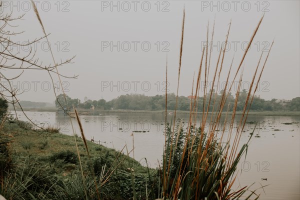 Overcast sky over a tranquil river with wild grass on the shore, Ninh Binh, Vietnam, Asia