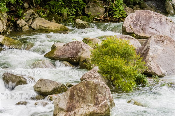 Swift-moving water cascading over rocks in a green woodland stream, in South Korea