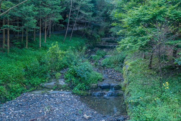 Man made stream with stone terraces in wilderness mountain park in South Korea