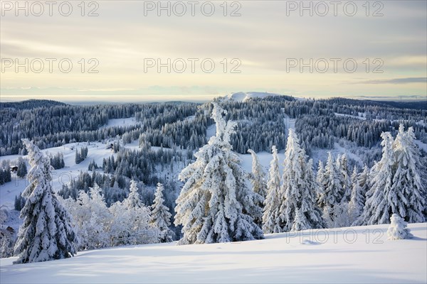 Winter on the Feldberg, Breisgau-Hochschwarzwald district, Baden-Wuerttemberg, Germany, Europe