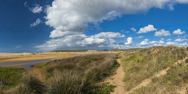 Idyllic coastal landscape in the Algarve, weather, blue sky, dune, beach, beach holiday, natural landscape, coast, plants, nature, sea, ocean, Atlantic Ocean, Atlantic Ocean, hike, beach walk, trip, holiday, summer holiday, Carrapateira, Portugal, Europe